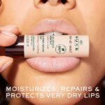 Nuxe_Reve_de_Miel_Hand_Nail_Cream_Lip_Stick