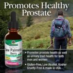 NATURES_ANSWER_Saw_Palmetto_Berries_Extract