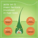 Priorin_Hair_Growth_Stimulation_Treatment