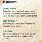 ANUA_heartleaf_quercetinol_pore_deep_cleansing_foam