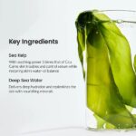 BIODANCE_Refreshing_Sea_Kelp_Real_Deep_Mask