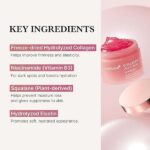 MEDICUBE_Collagen_Jelly_Cream