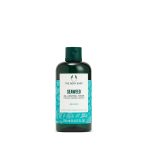 THE_BODY_SHOP_Seaweed_Oil-Control_Toner